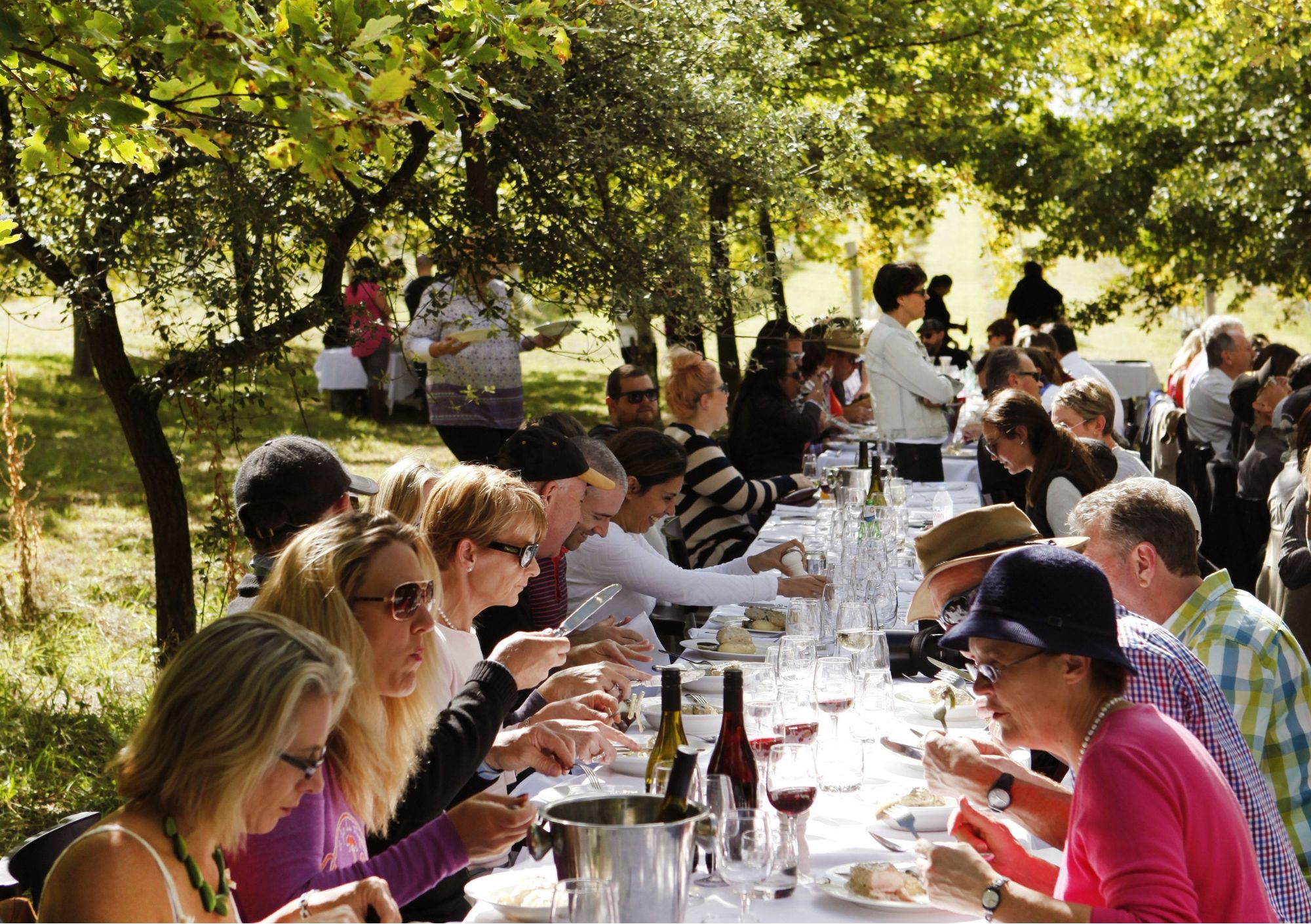 people enjoying the orange wine festival under the trees