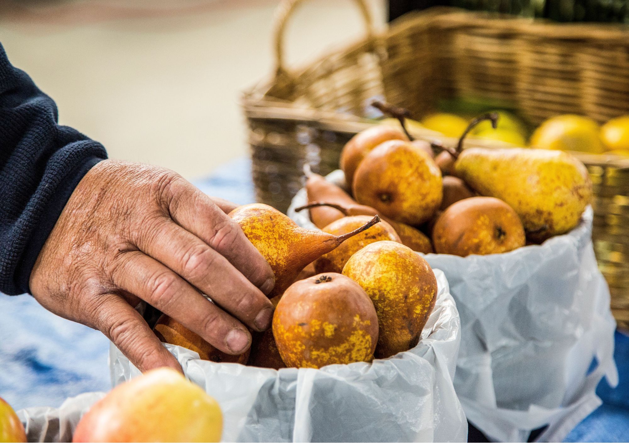 Man picking fresh pear at the Orange farmer markets