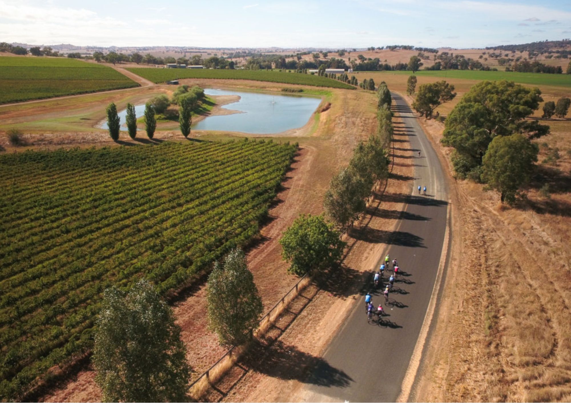 Cycles riding the Newcrest Orange Challenge in orange nsw