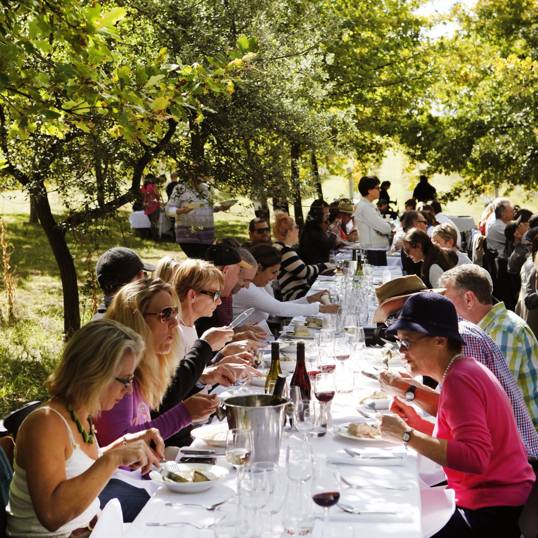 orange-wine-festival-2025 (3)