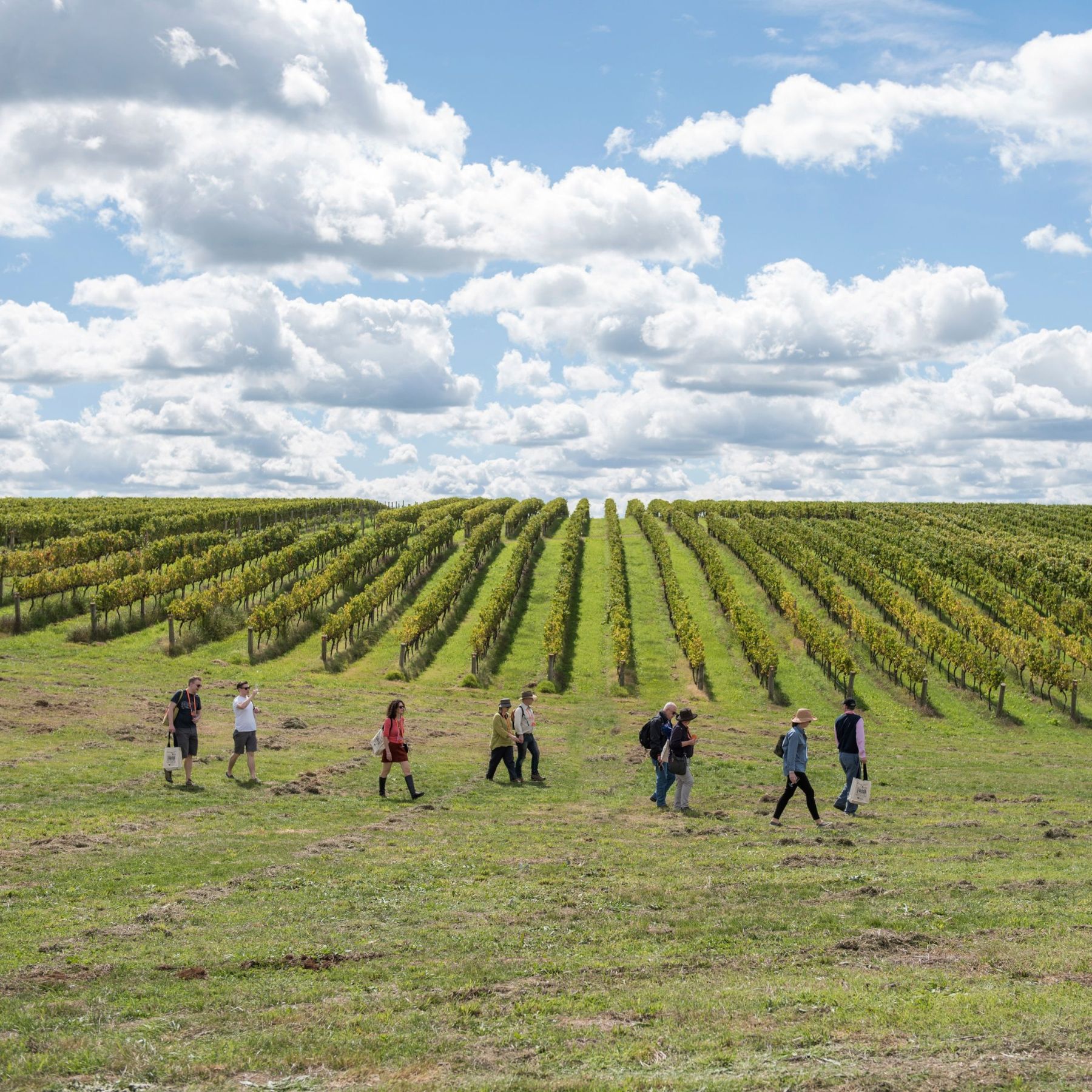 orange-wine-festival-2025