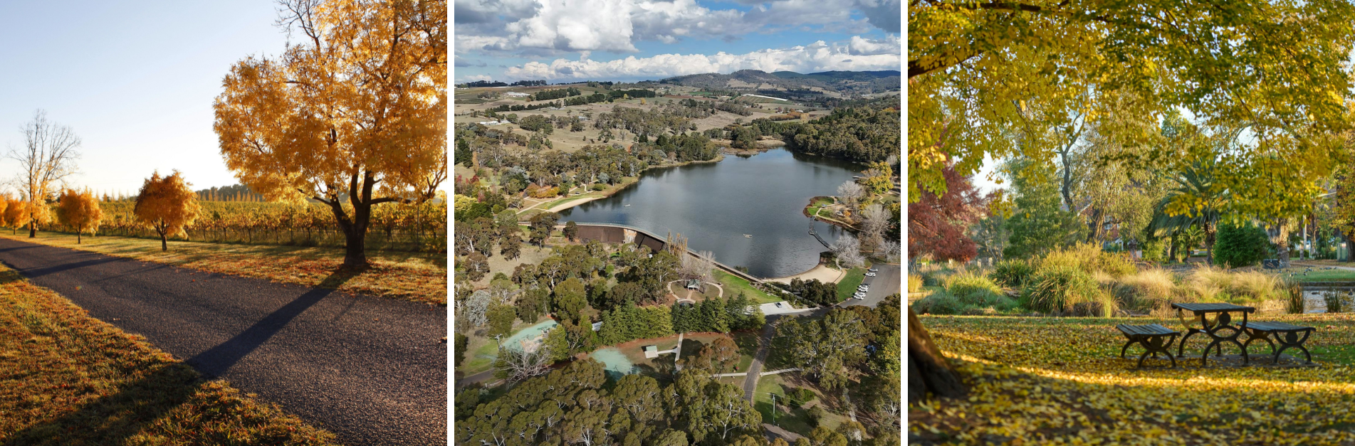 Nature & Gardens in Orange NSW Discover Orange NSW’s natural beauty through colourful autumn landscapes, scenic lakes, peaceful gardens, and picturesque parks that showcase the region throughout the seasons.