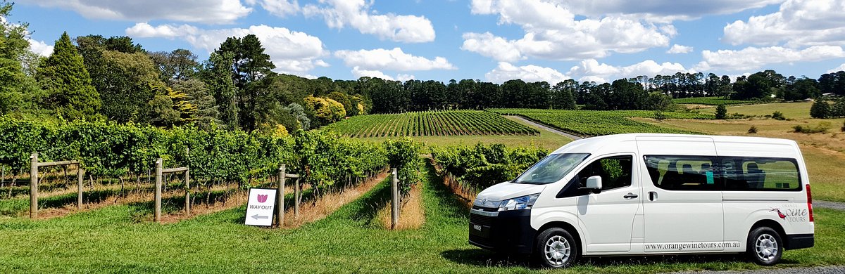 orange-wine-tours-at Orange Wine Tours vehicle parked beside vineyard rows in Orange, NSW, offering guided wine tasting experiences through the region's cool-climate wineries.