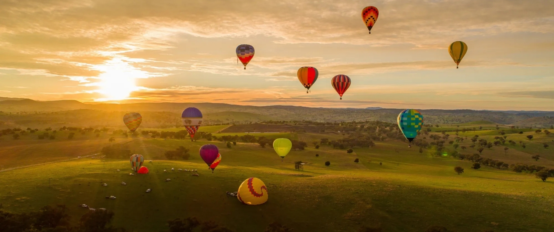 Colourful hot air balloons flying over the countryside at sunrise in Canowindra NSW